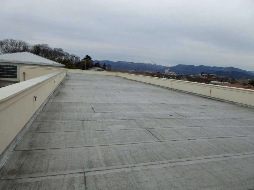 The roof of the old school building of Toyosato Elementary School