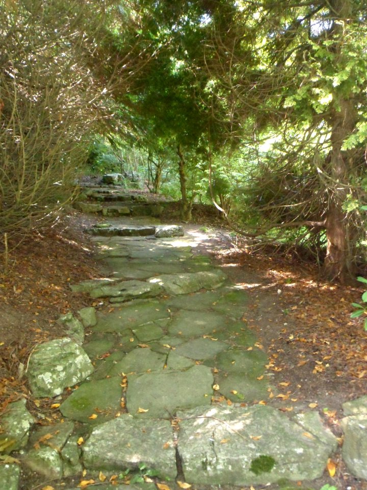 The Rockery, Preston Park, Brighton (August 2013) (4)