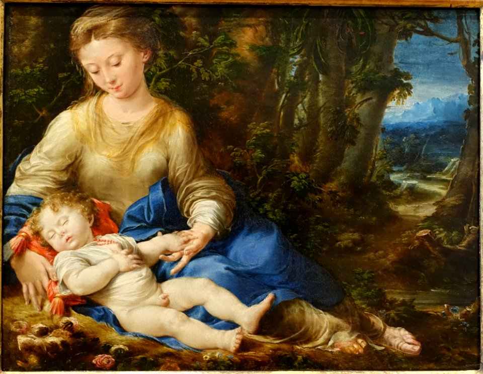 The Virgin and Child in a Landscape, by Girolamo Mazzola Bedoli, c. 1536-1537, oil on panel - Fogg Art Museum, Harvard University - DSC01876