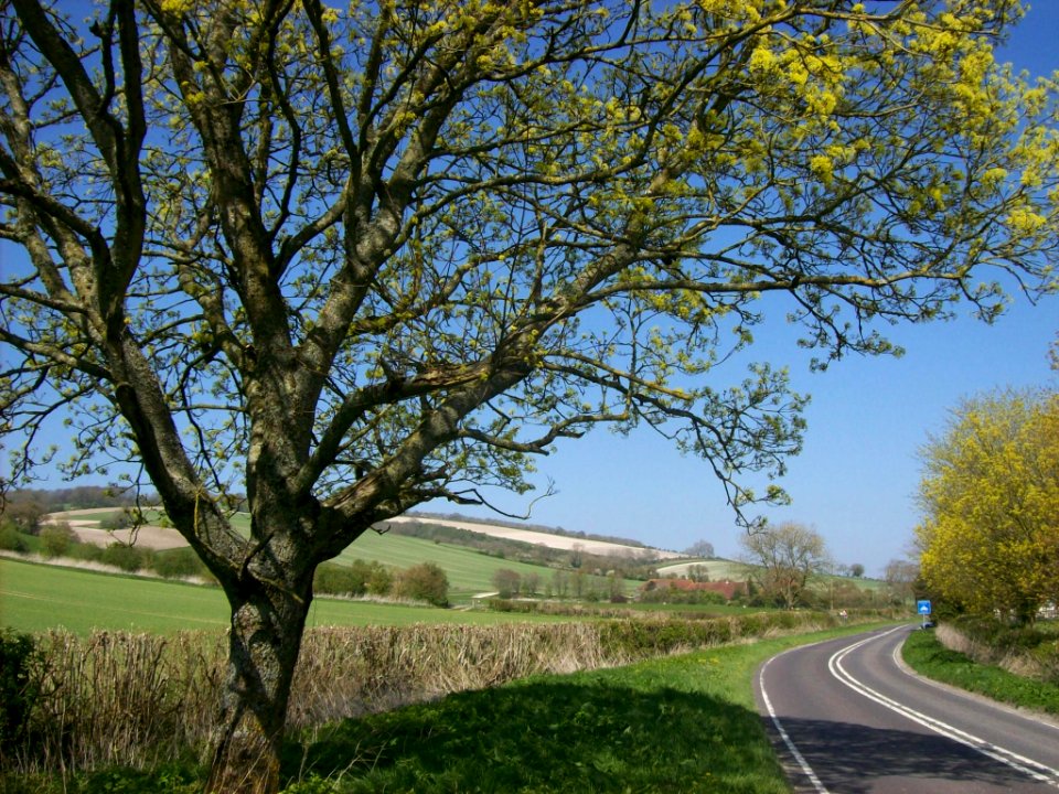 The road into Upwaltham