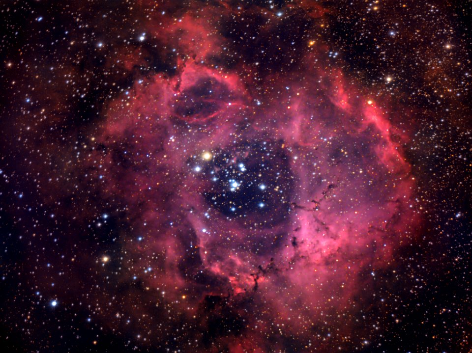 The Rosette Nebula Caldwell 49 50 Broadband