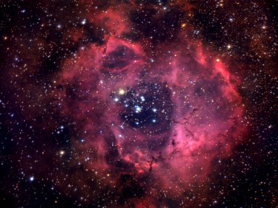 The Rosette Nebula Caldwell 49 50 Broadband photo