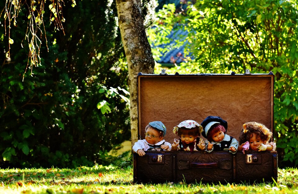 Funny sweet luggage