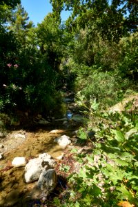 The river Charadra at the Amphiareion (Oropos) on July 24, 2020