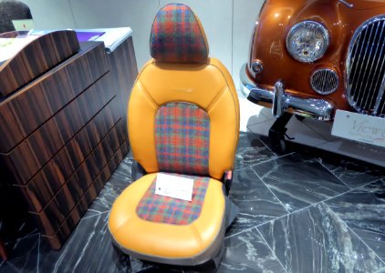 The seat of Mitsuoka Viewt Twilight (K13)