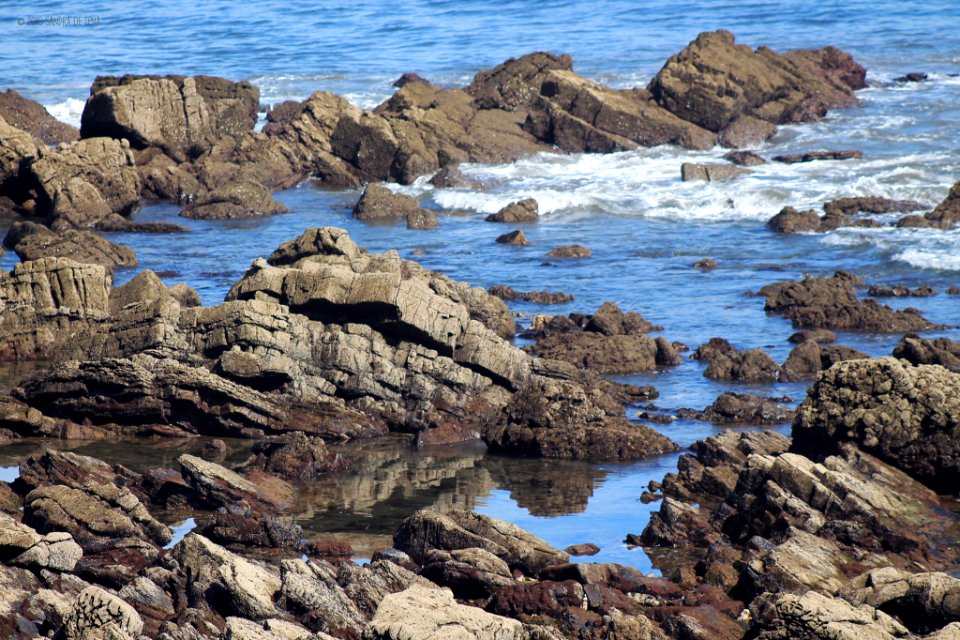 The Sea My Life (146427383)