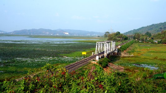 The Tracks That Take You Home (255924227)