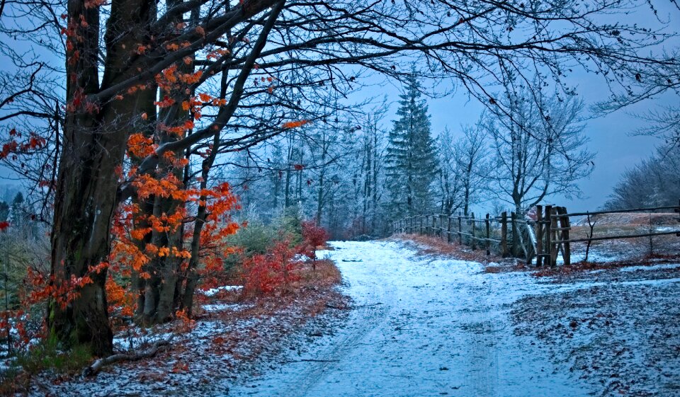 Winter snow landscape