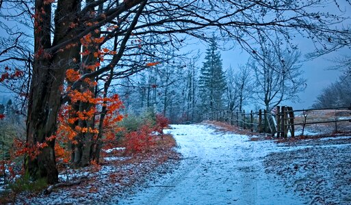 Winter snow landscape