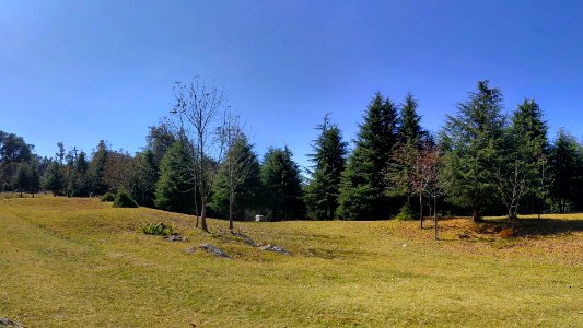 The rolling meadows around Deoria Tal Uttarakhand India