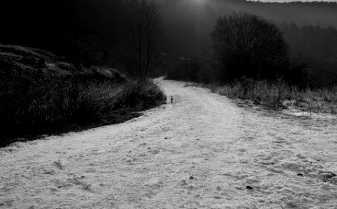 The Road Toward The Light (244702345)
