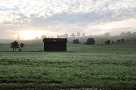 Field grass grassland photo