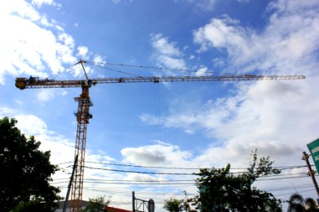The Tower Crane (186713001)