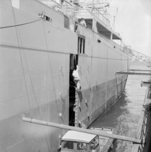 Twee helften van het Zwitserse schip Nyon worden in het Gemeentedok te Rotterd, Bestanddeelnr 910-4308