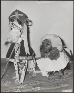 Twee honden verkleed als Sinterklaas en Zwarte Piet, Bestanddeelnr 056-0352