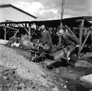 Twee geinterneerden met een kruiwagen, Bestanddeelnr 900-4789 photo