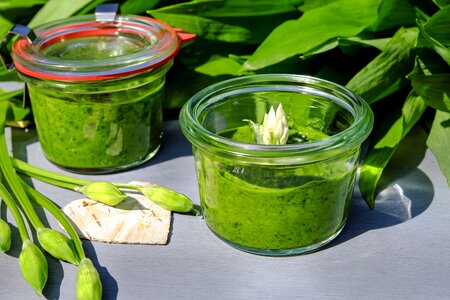 Herbs homemade wild vegetables