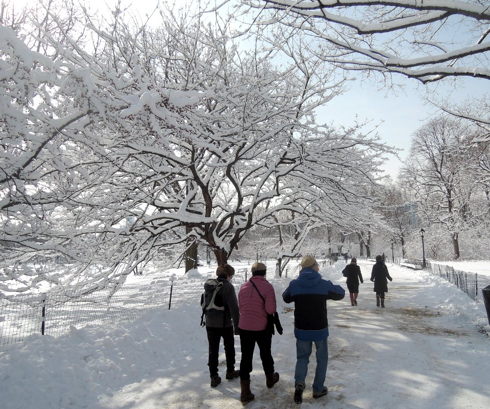 TWC northwestern Great Lawn sticky snow jeh