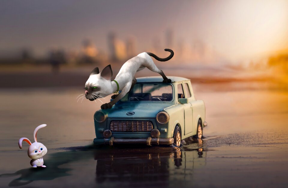 Hunt hunting siamese cat