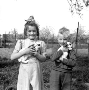 Twee kinderen met konijnen, Bestanddeelnr 252-1929
