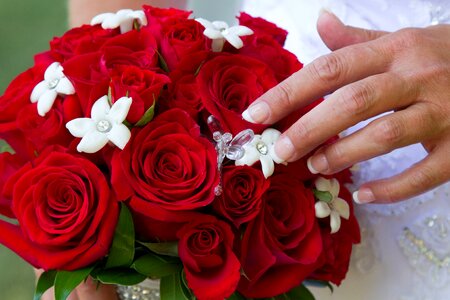 Bunch flower rose