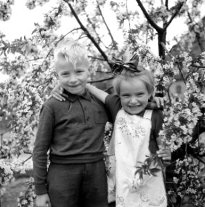Twee kinderen bij een bloeiende boom, Bestanddeelnr 252-1930