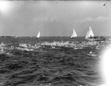 Twee kilometer zwemwedstrijd te Nieuw-Loosdrecht start, Bestanddeelnr 904-0099
