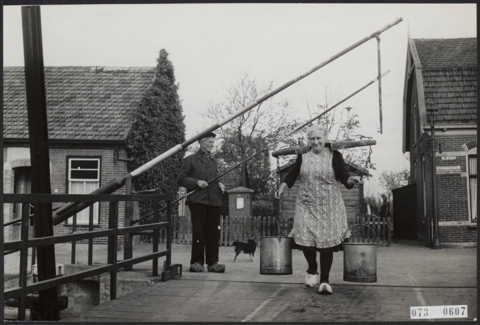 Twee van de laatste klassieke tolbomen, Bestanddeelnr 073-0607