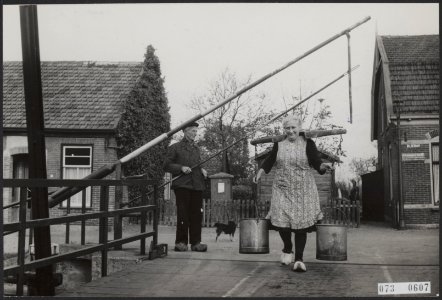 Twee van de laatste klassieke tolbomen, Bestanddeelnr 073-0607