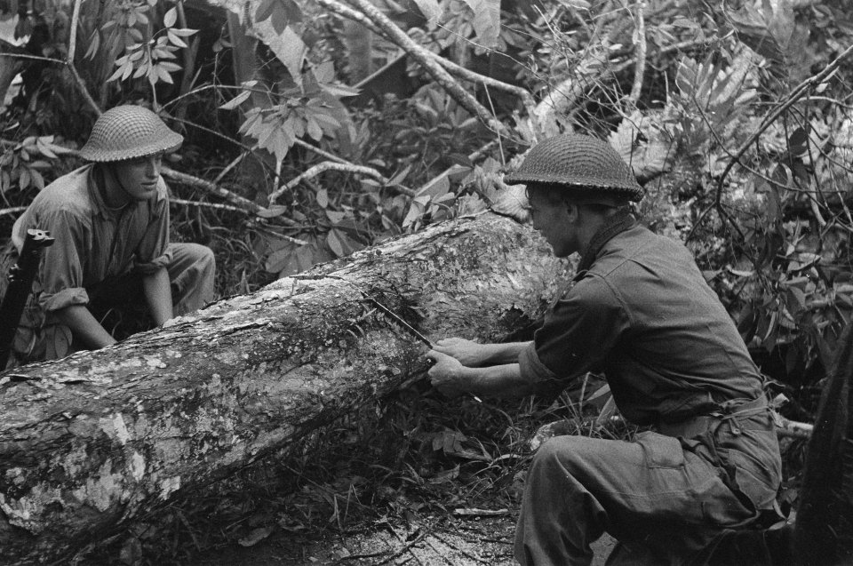 Twee militairen zagen de stam van een gevelde boom door, Bestanddeelnr 348-1-6