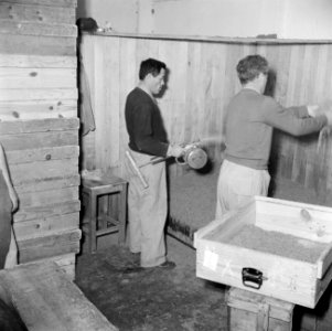 Twee mannen aan het werk in een sigarettenfabriek, Bestanddeelnr 255-0199