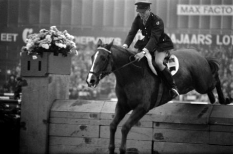 Twaalfde Internationaal Concours Hippique Jumping Adam RAI Amsterdam. de Nieuw, Bestanddeelnr 922-8999