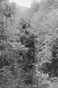 Twee militairen waarvan een in een donker gevechtspak, lopen door dicht struikge, Bestanddeelnr 194A-6-4