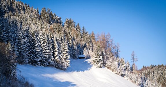 Wintry sunny good weather