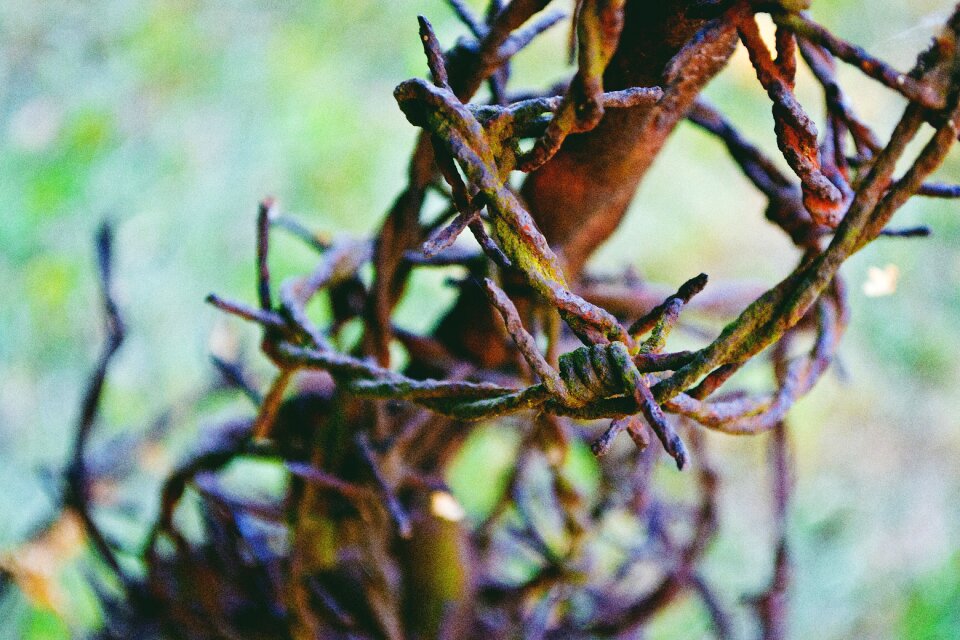 Wire work Free photos