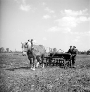 Twee mannen met een eg op het land, Bestanddeelnr 254-4264