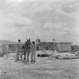 Twee soldaat-boeren van kibboets Kwuzath Gezer bij een voor een hooihark ingespa, Bestanddeelnr 255-0629 photo