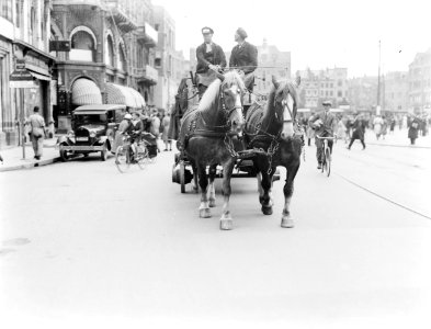 Twee paarden voor de Heineken-bierwagen op het Rokin, Bestanddeelnr 252-1427