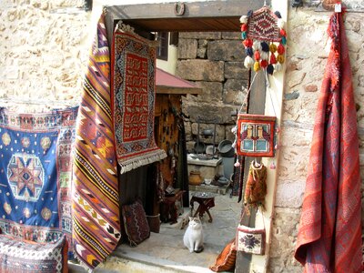 Door cat carpets