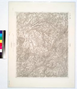 Turnau. NYPL1226278