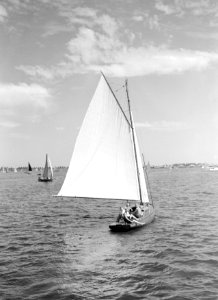 Twee mannen en twee vrouwen varend in zeilboot, Bestanddeelnr 191-0159