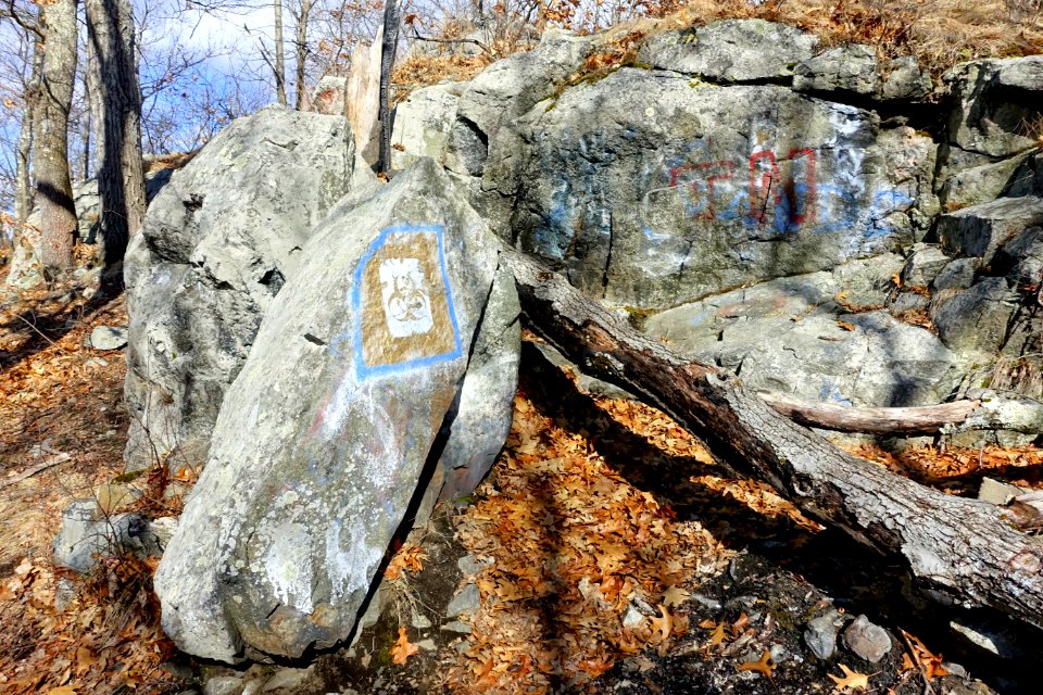 Turkey Hill Reservation - Arlington, MA - DSC08897