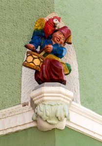 Turkish drumer parrot, Murnau, Bavaria, Germany