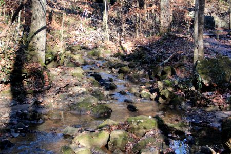 Turkeyfoot Creek, Cascade Springs Nature Preserve, Atlanta, Dec 2018