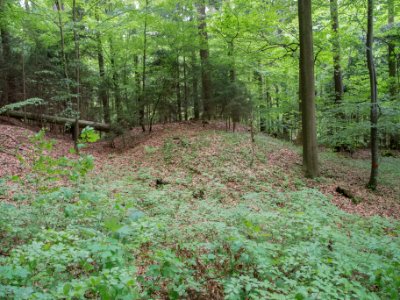 Turmhügel Birkensee 02