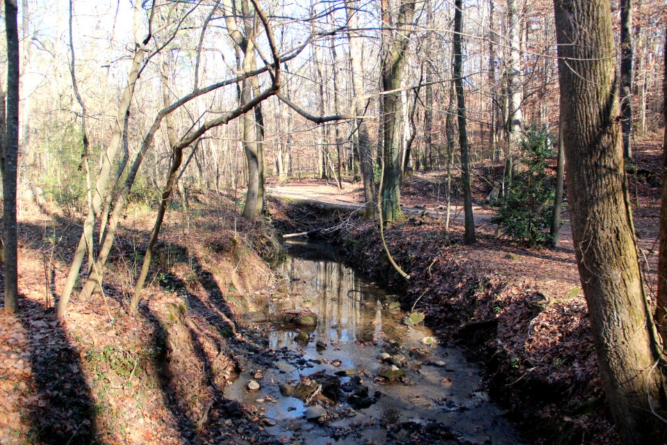 Turkeyfoot Creek, Cascade Springs Nature Preserve, Atlanta, Dec 2018 2