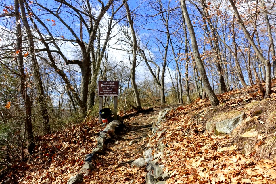 Turkey Hill Reservation - Arlington, MA - DSC08883