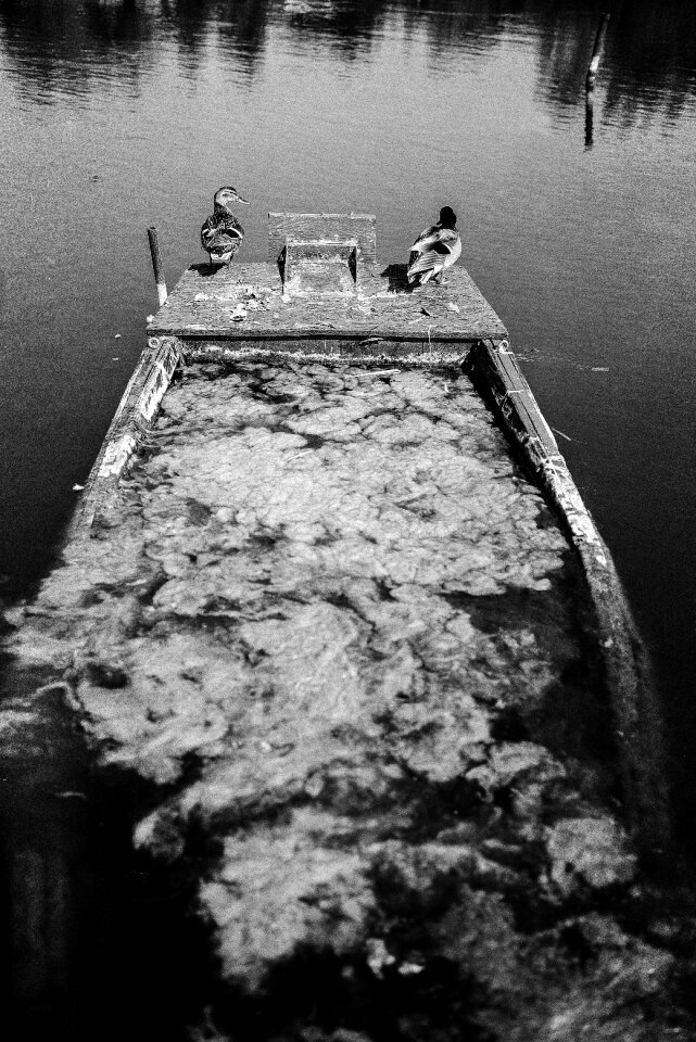 Sunken boat rowboat