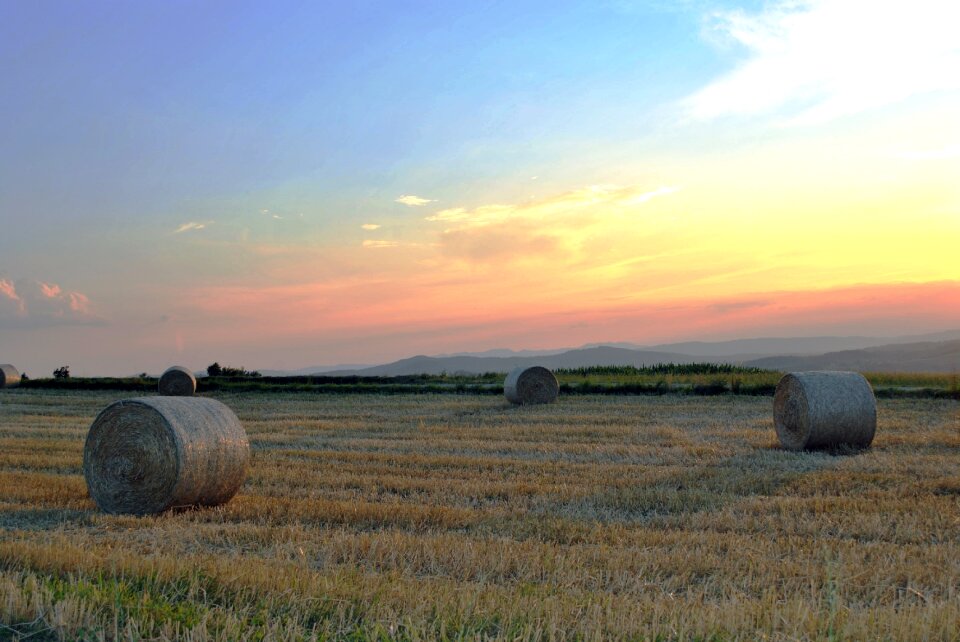 Landscape harvest countryside