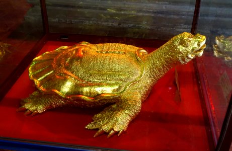 Turtle - Temple of Literature, Hanoi - DSC04625